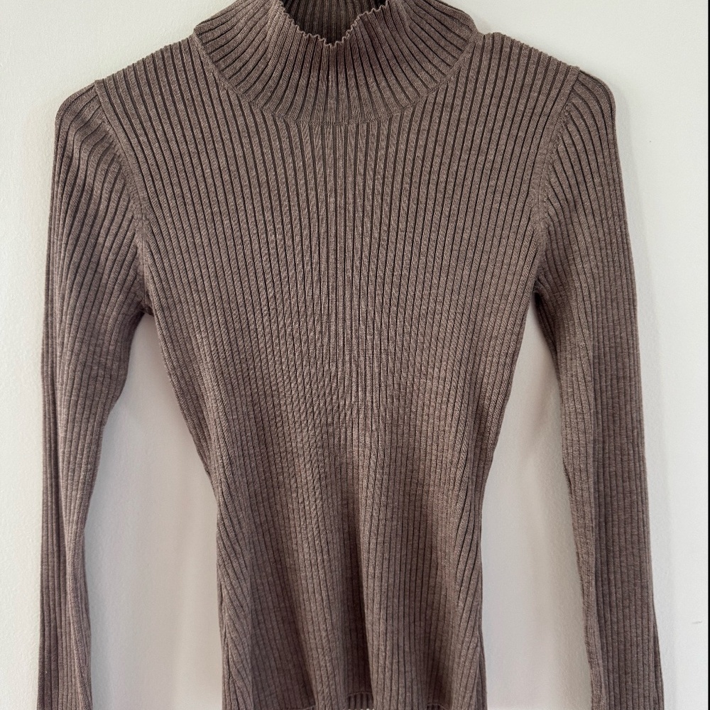 Ribbed Gentle Fawn Turtleneck